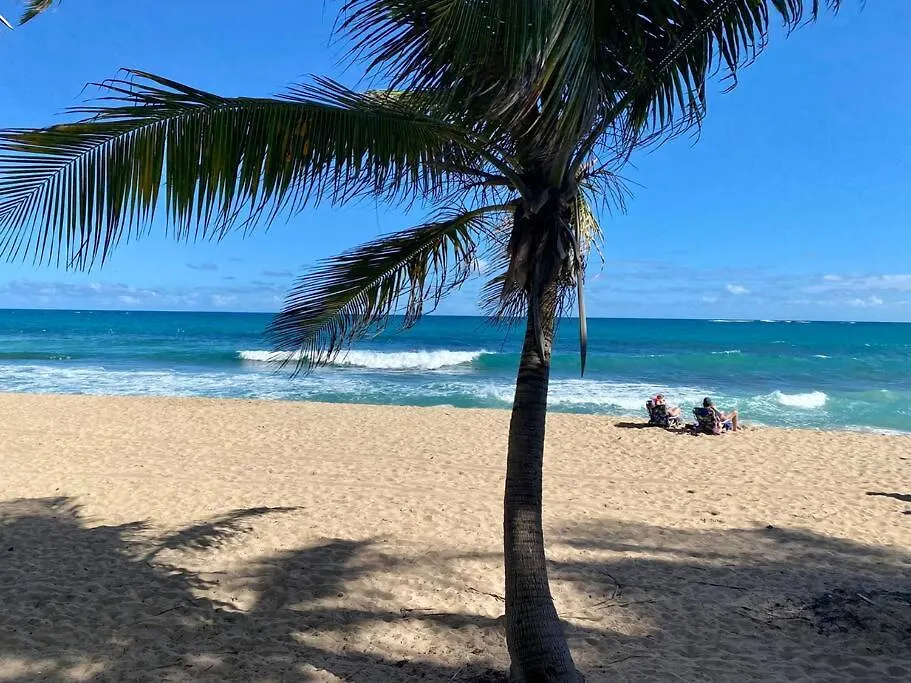 Apartment Condado Del Mar Beach Front Jewel A3 San Juan Puerto Rico