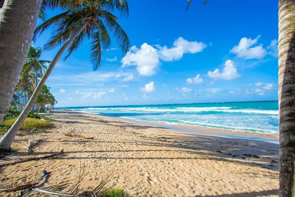 Condado Del Mar Beach Front Jewel A3 San Juan