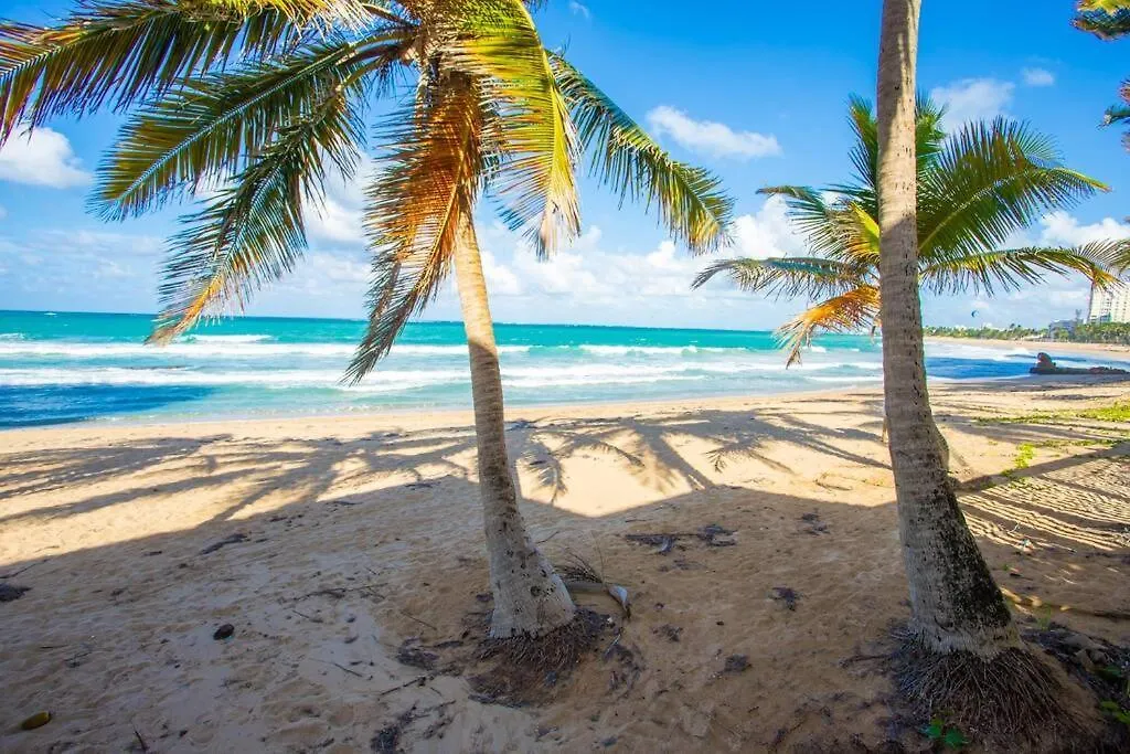 Condado Del Mar Beach Front Jewel A3 San Juan Puerto Rico